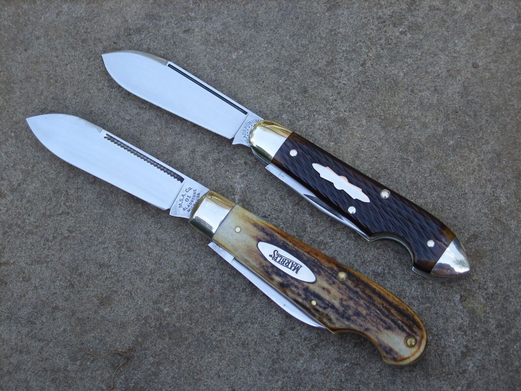 STP81024.jpg