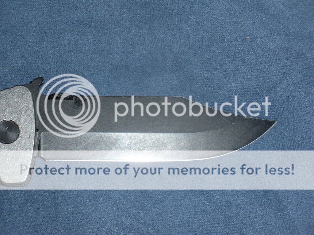 DSCN0193.jpg