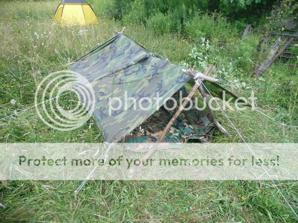 PICT0002-60.jpg