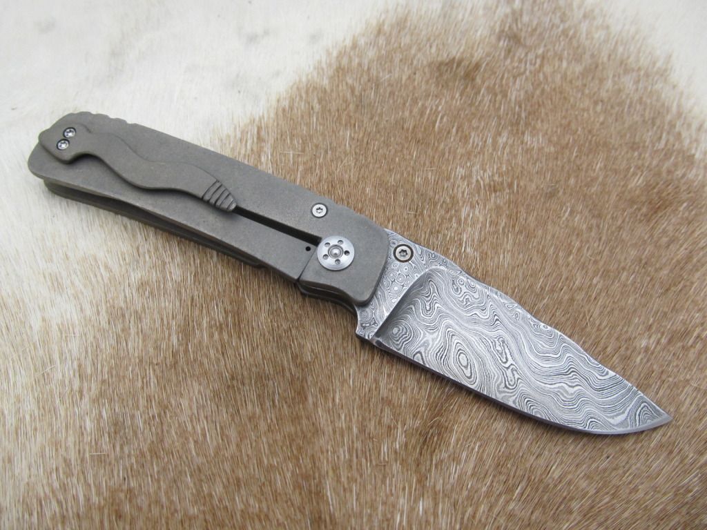 framelockwithsnake033.jpg