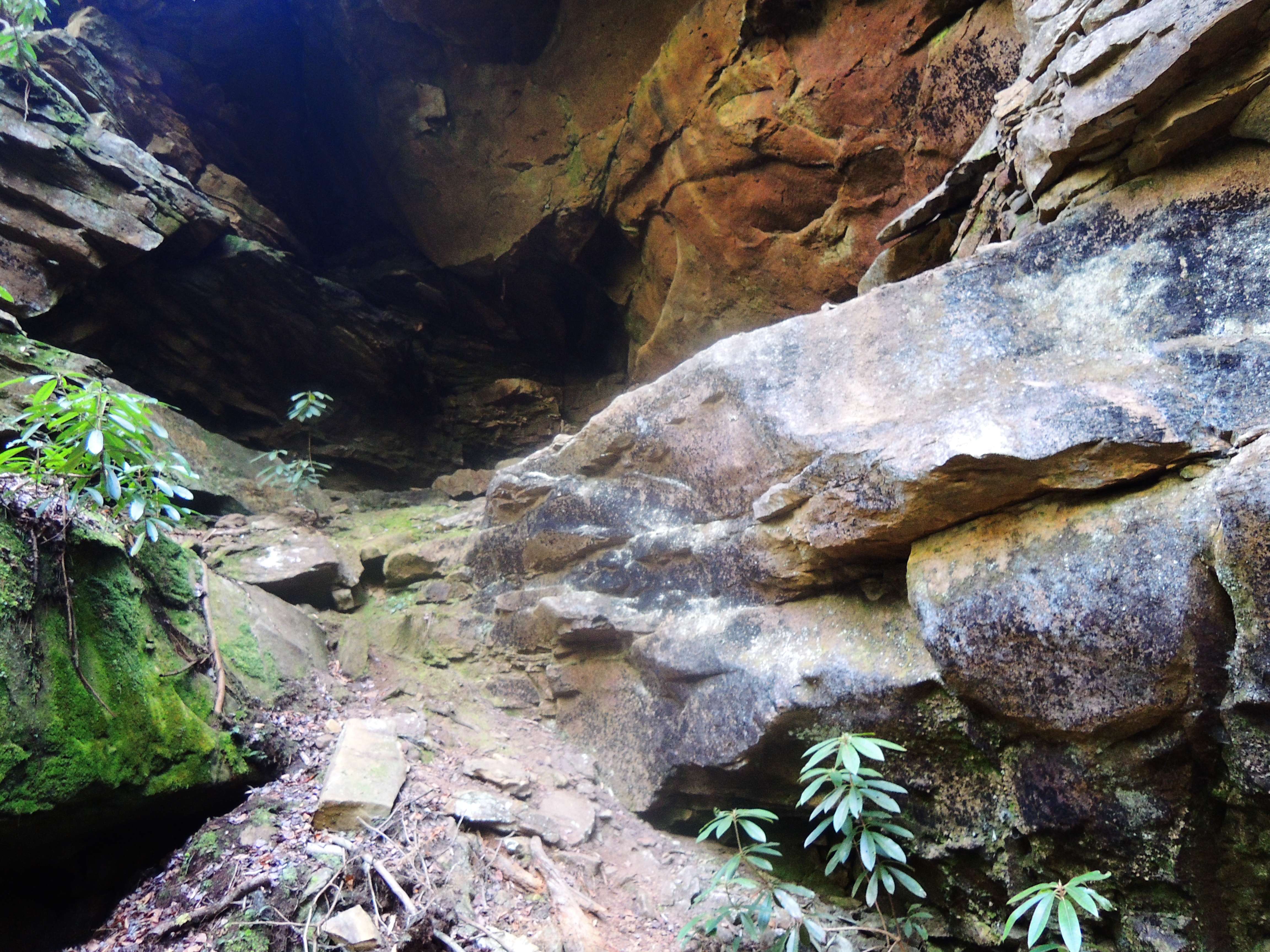 dscn5068w.jpg