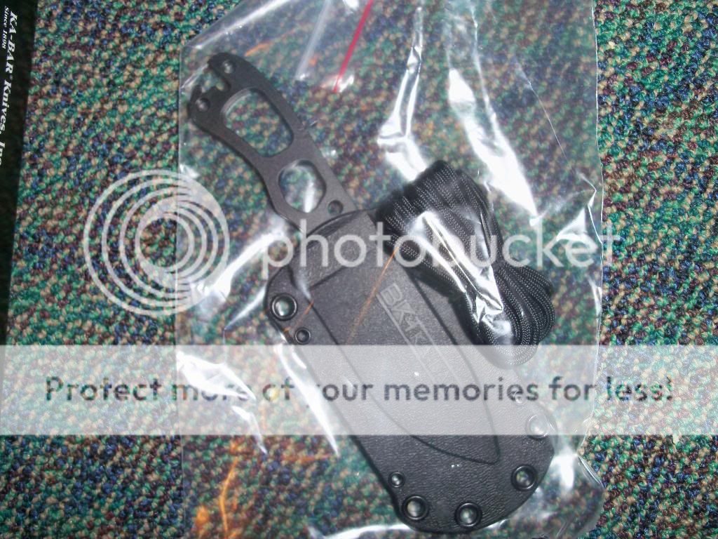 100_4181.jpg
