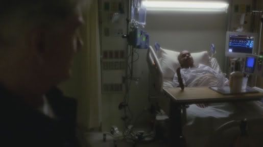 ncis6.jpg