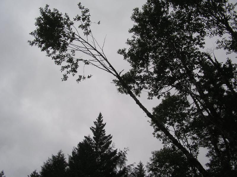 Picture008.jpg
