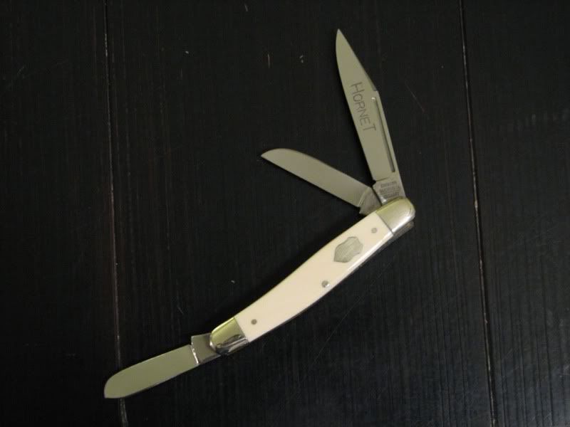 hornet3.jpg