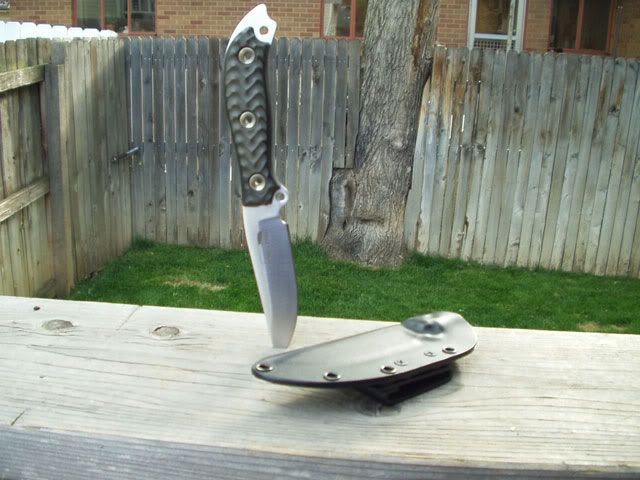 busse2.jpg