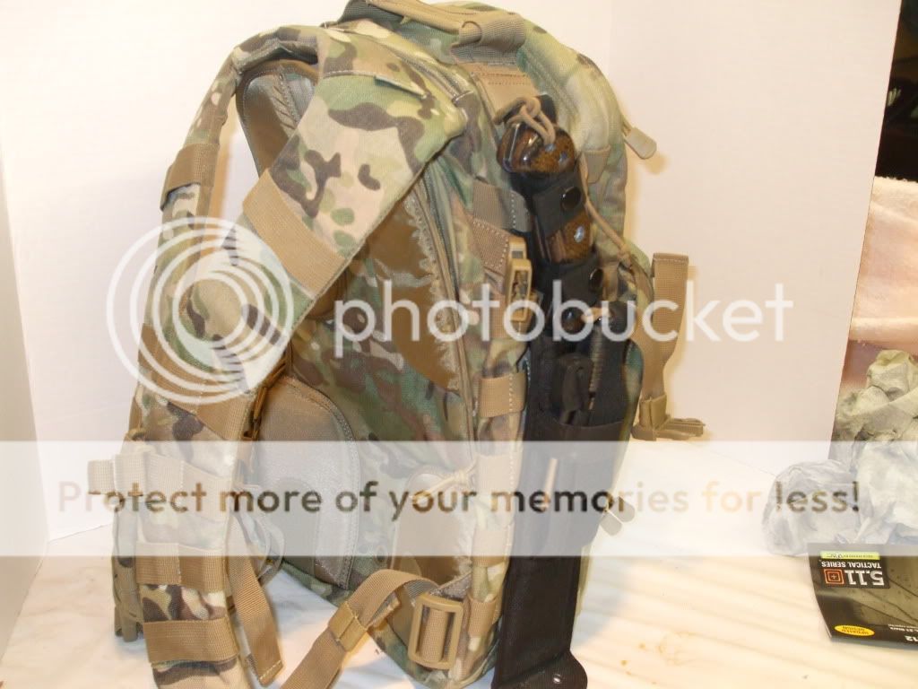 41812043.jpg