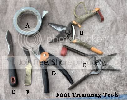 Foot_Tools.jpg