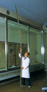 norimitsu_odachi.jpg