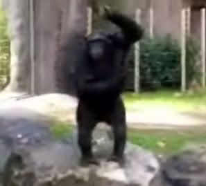skunkdance.jpg