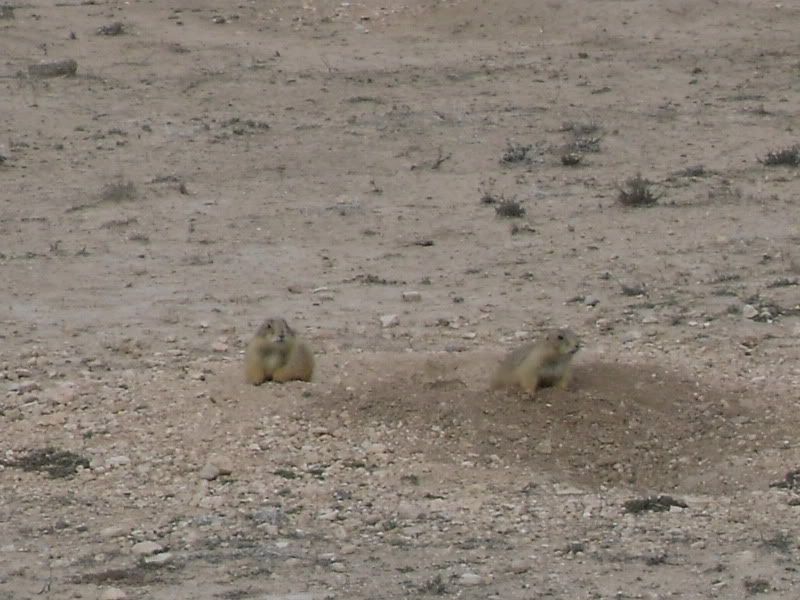 SDC13081.jpg