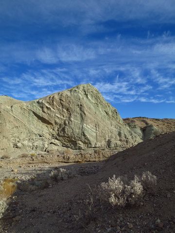 IMG_3281.jpg