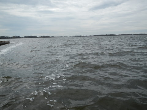 Foto-836UFXL6-D.jpg