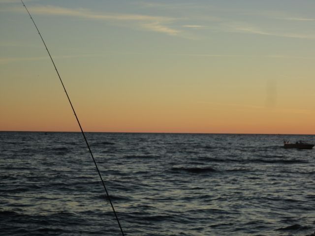 DSC09992_zps64e4bff4.jpg