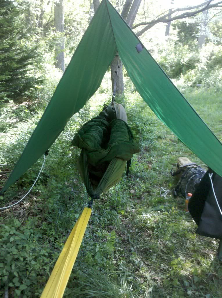 2012-04-07103818.jpg