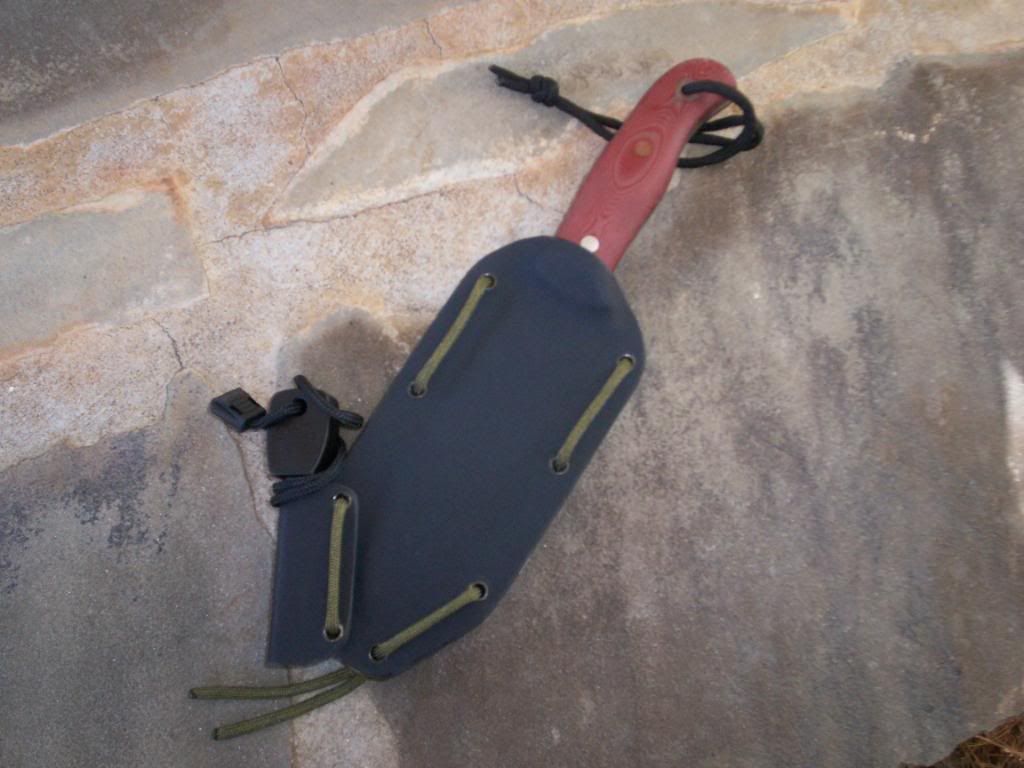 Fiddleback003.jpg