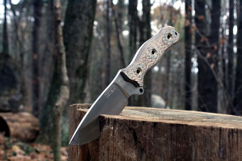 04BATACLE863-0759.jpg
