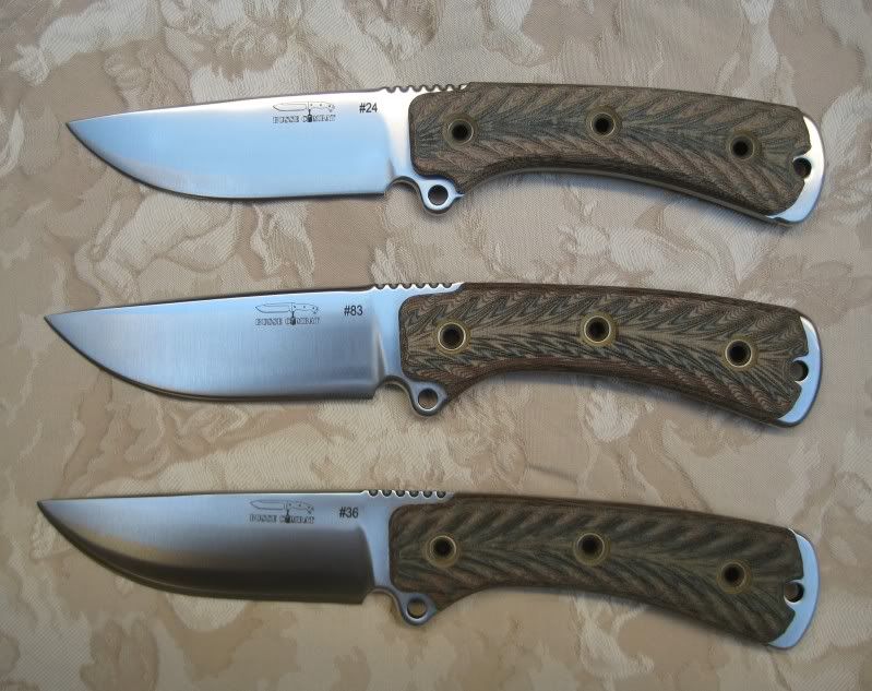 SARLEs.jpg