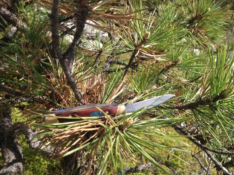 photo.jpg
