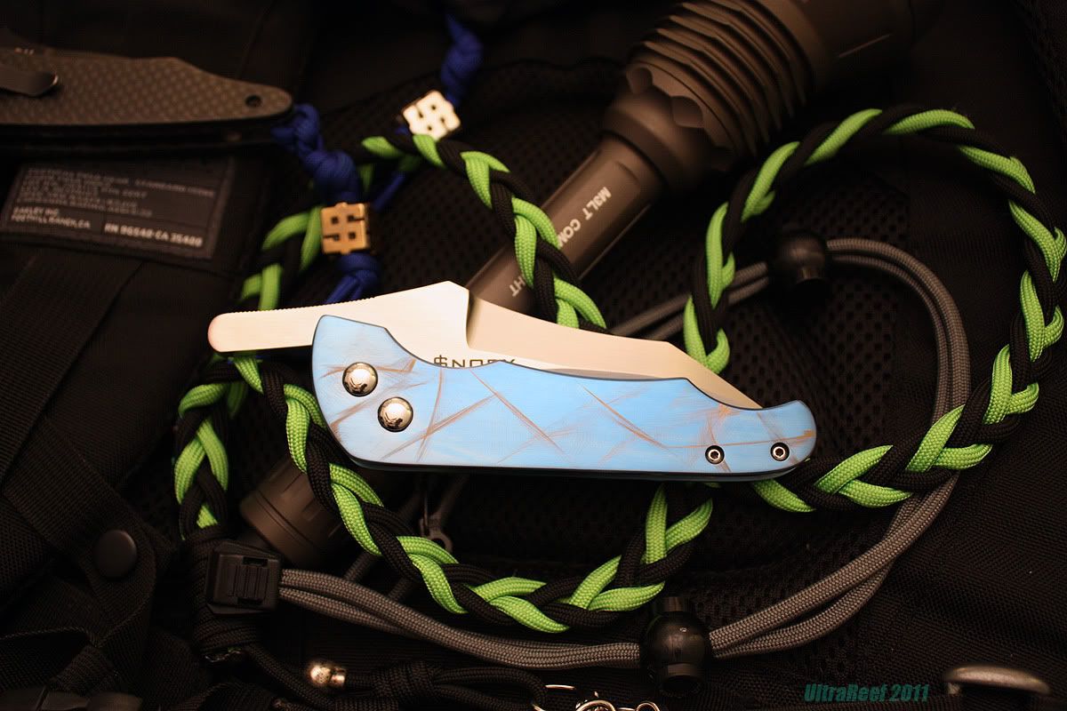 blue_large_frick6a.jpg