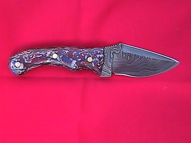 IMGA0284.jpg