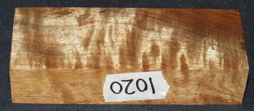 1020a.jpg