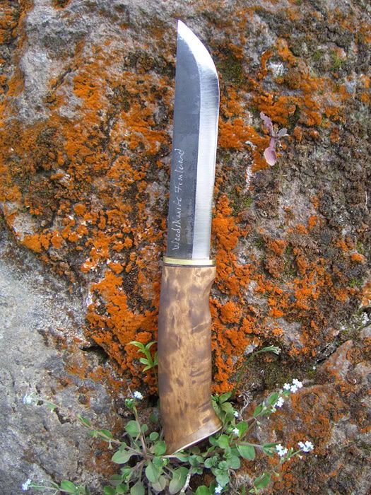 HarriMerimaaPuuko.jpg