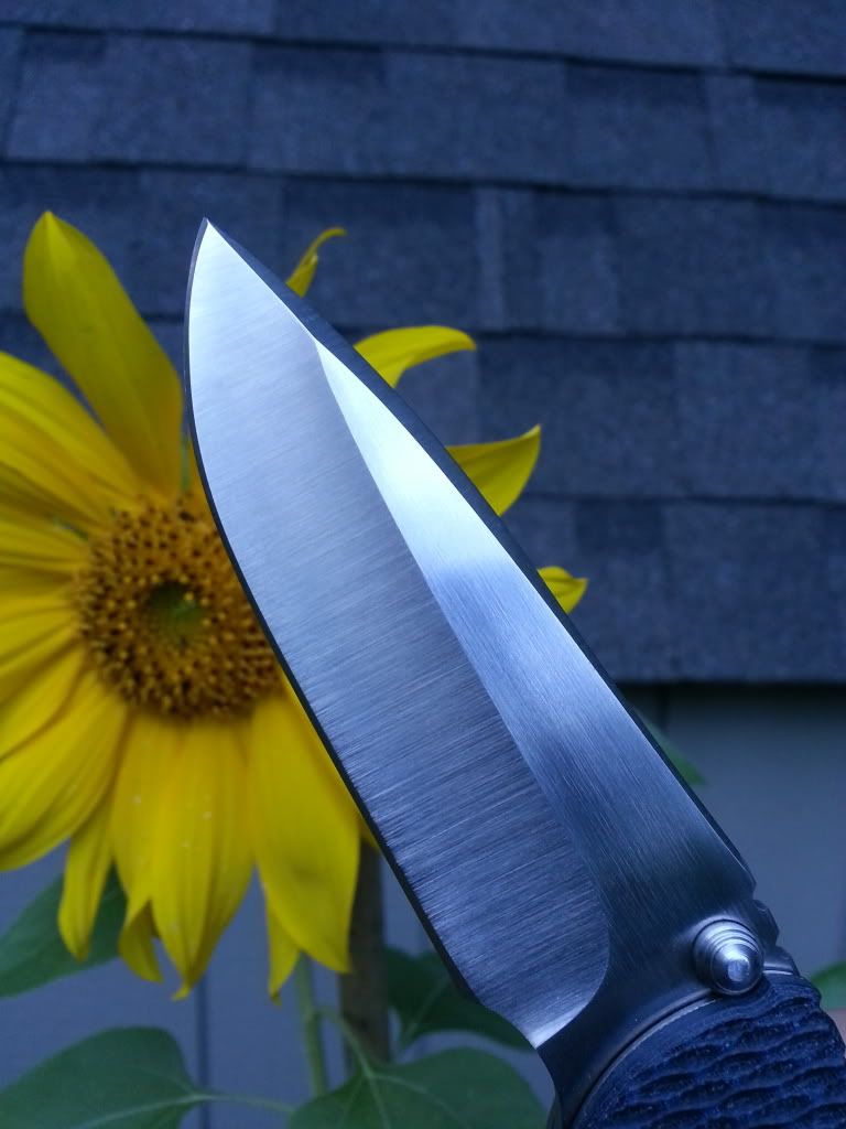 20130917_173252_zps3e273911.jpg
