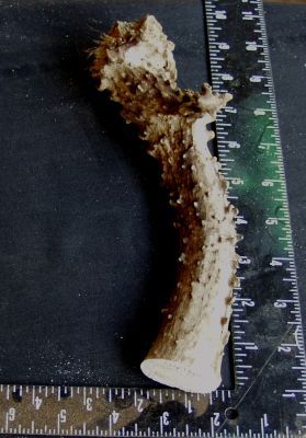589b.jpg