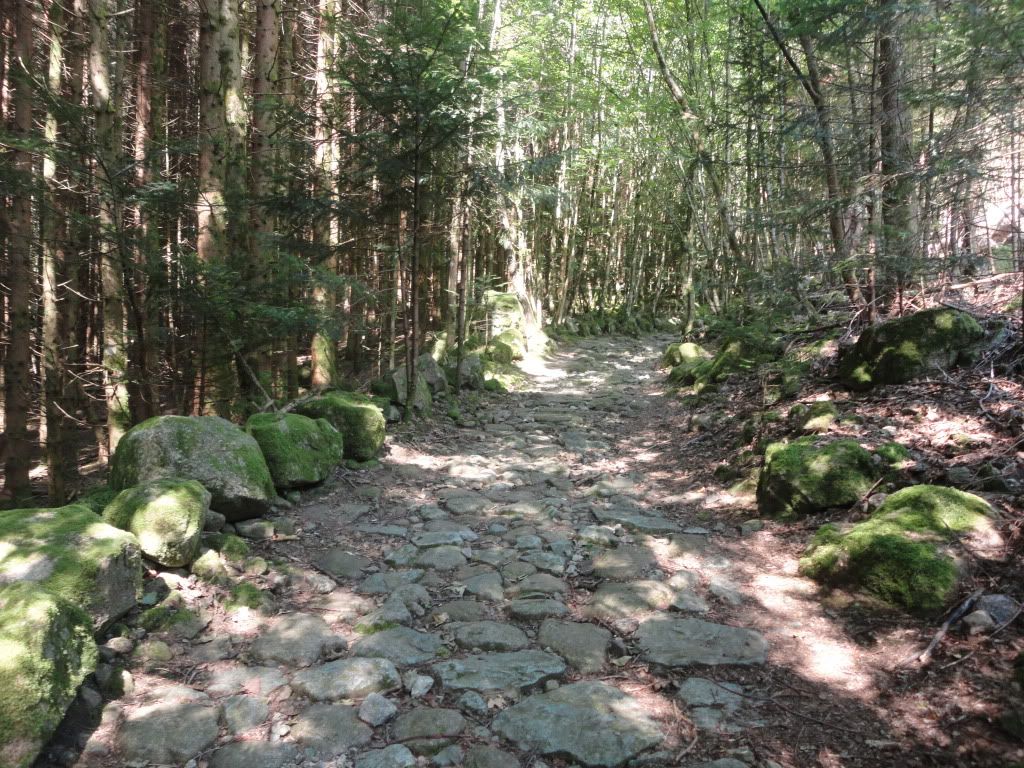 DSC01853.jpg