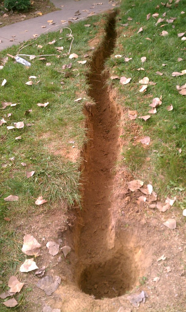 IMAG0247.jpg
