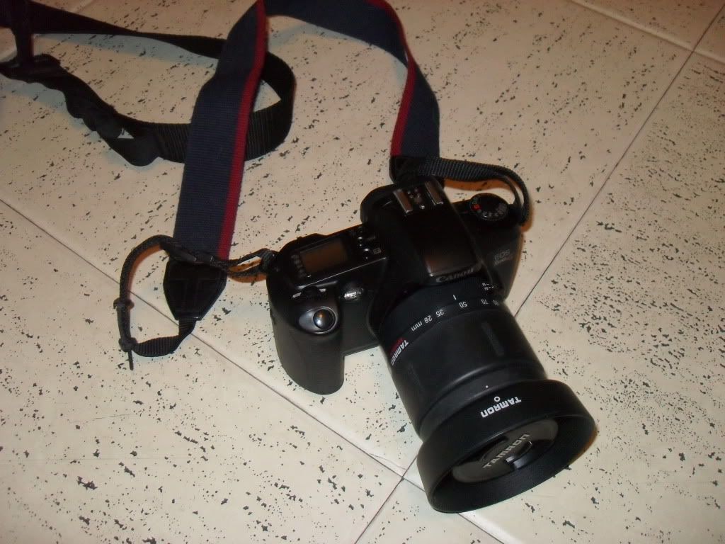 SDC12400.jpg