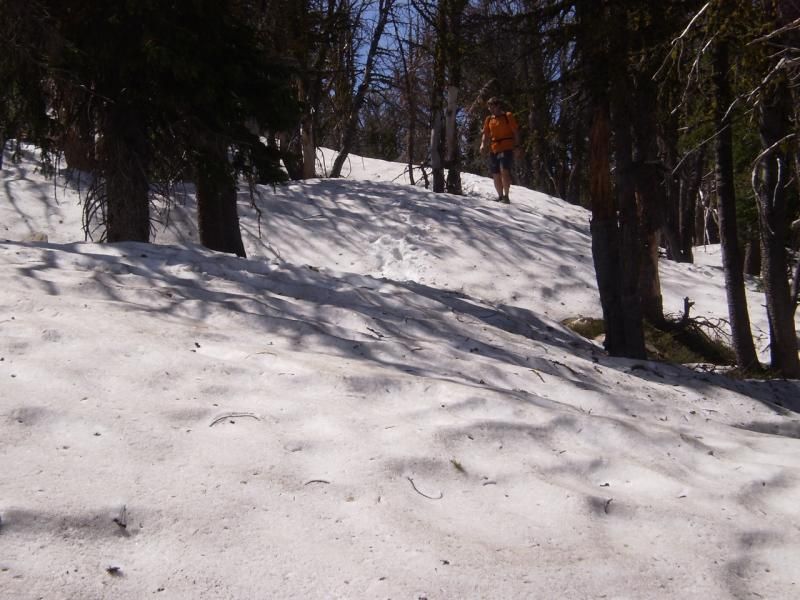 weebitofsnow_zps8e0f22e6.jpg