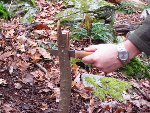 fallhike014.jpg