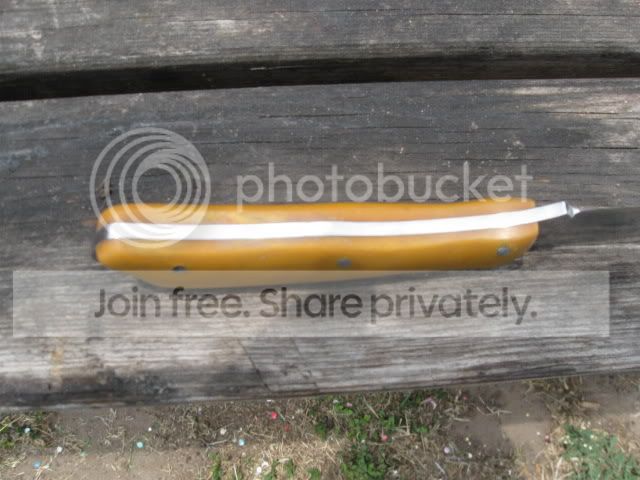 ppn018.jpg