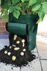 potato-bag2_zps4a2932a1.jpg