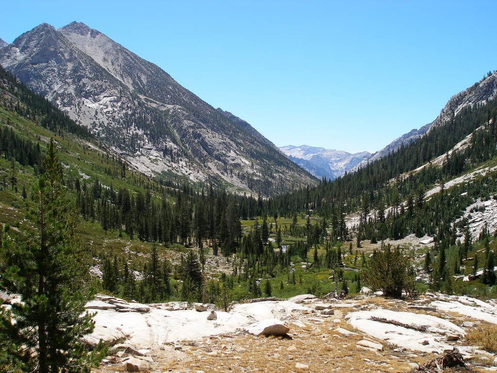 KingsCanyon2008699.jpg