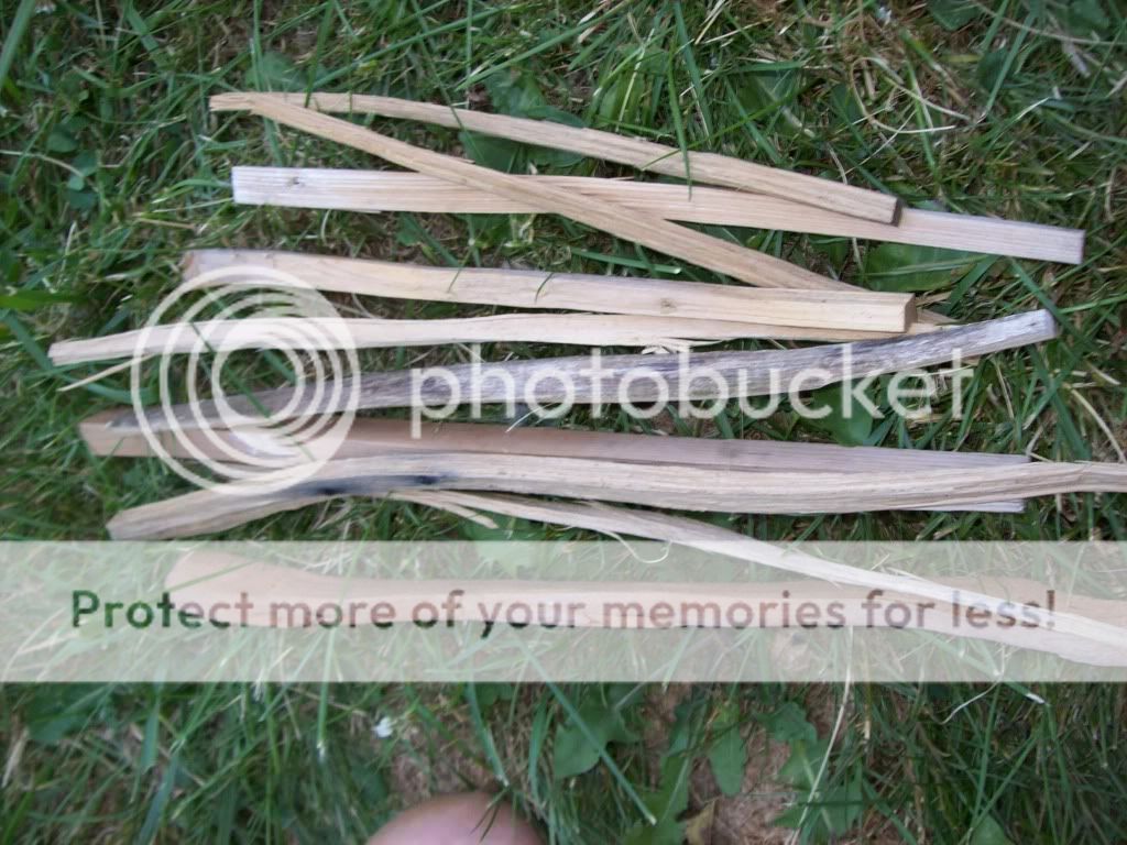 Beckermeal004.jpg