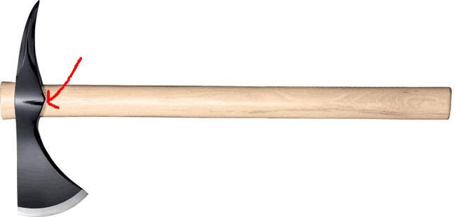 hawk1.jpg