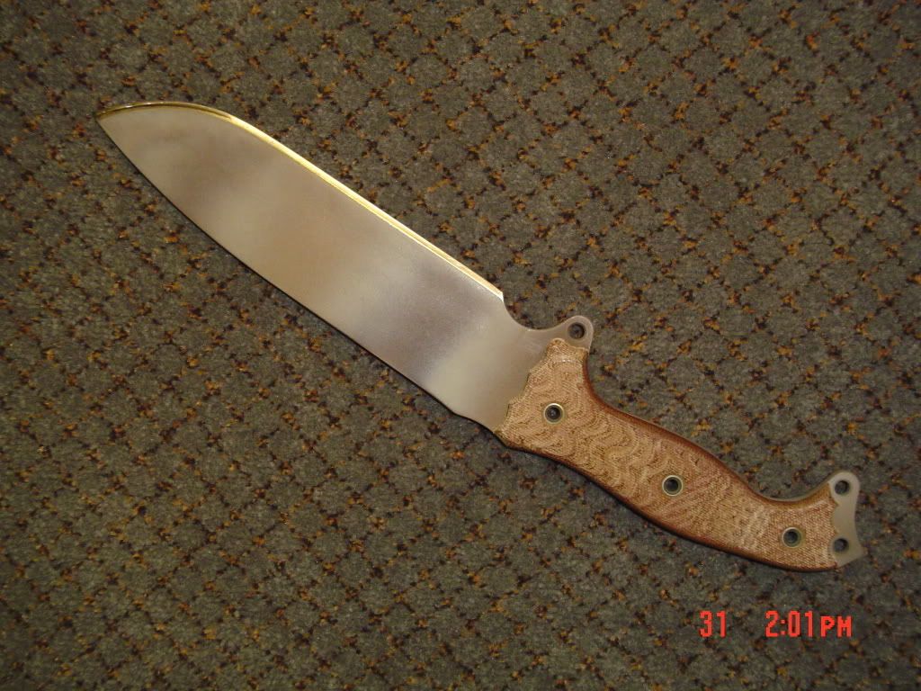 BusseFSH009.jpg