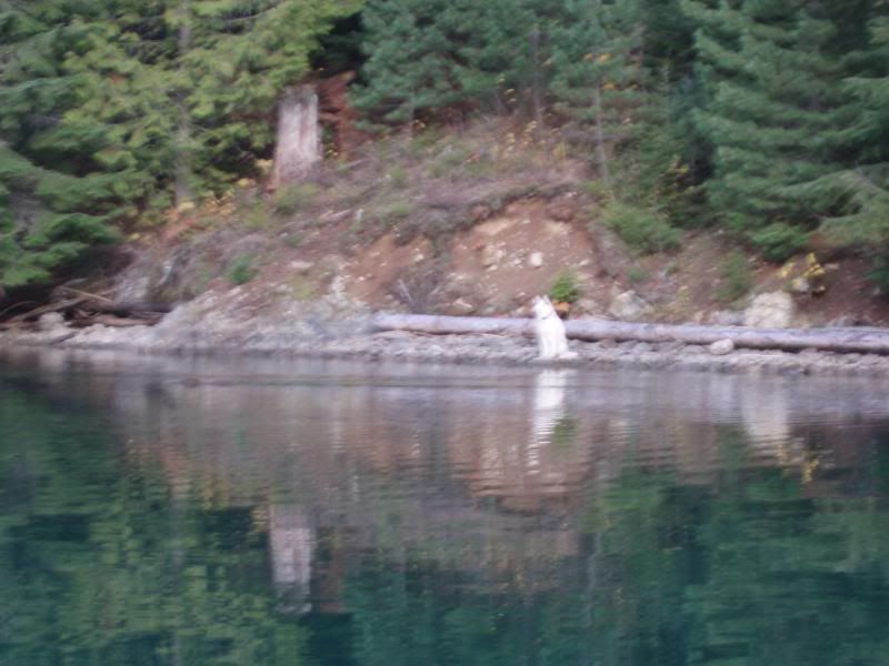 Oct2011038.jpg