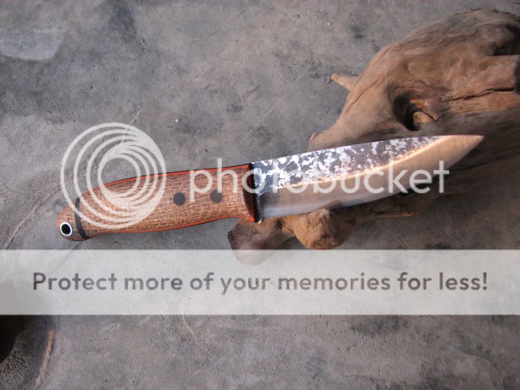 IMG_3732_zps2fd894a5.jpg