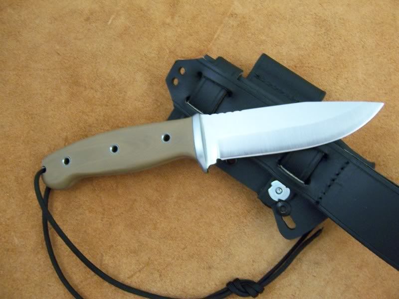 SERET3b2.jpg