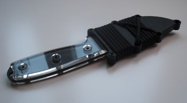 Rat4.jpg
