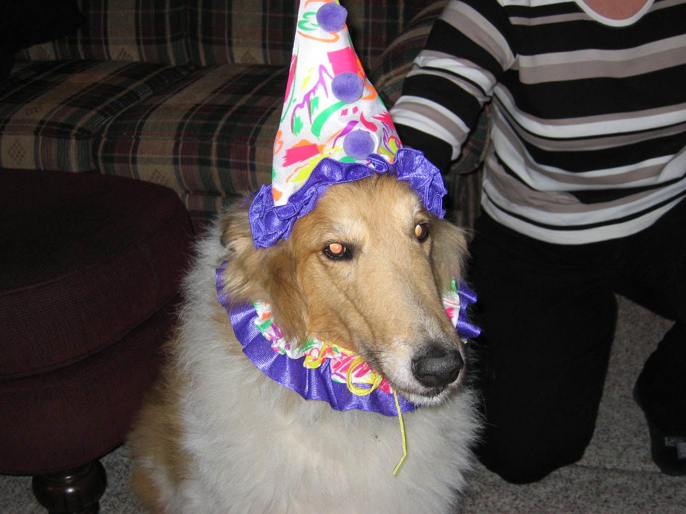 40thbdayparty018.jpg