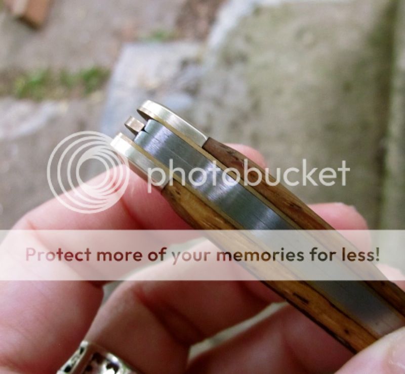 IMG_0878.jpg~original