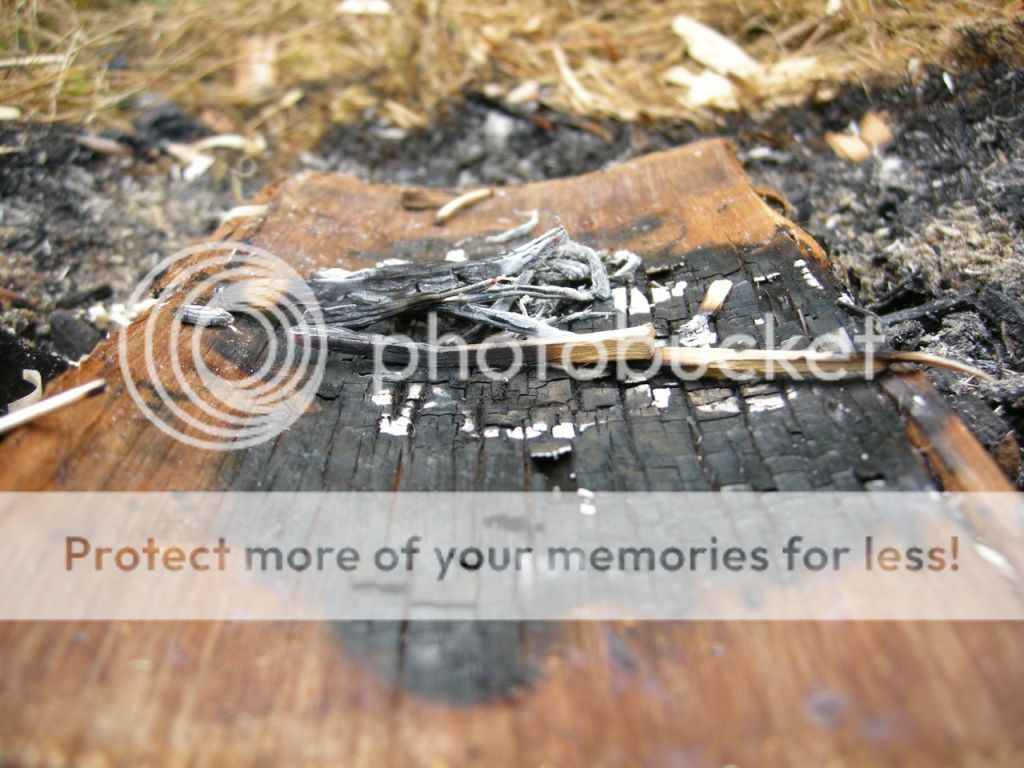 FireContest089.jpg