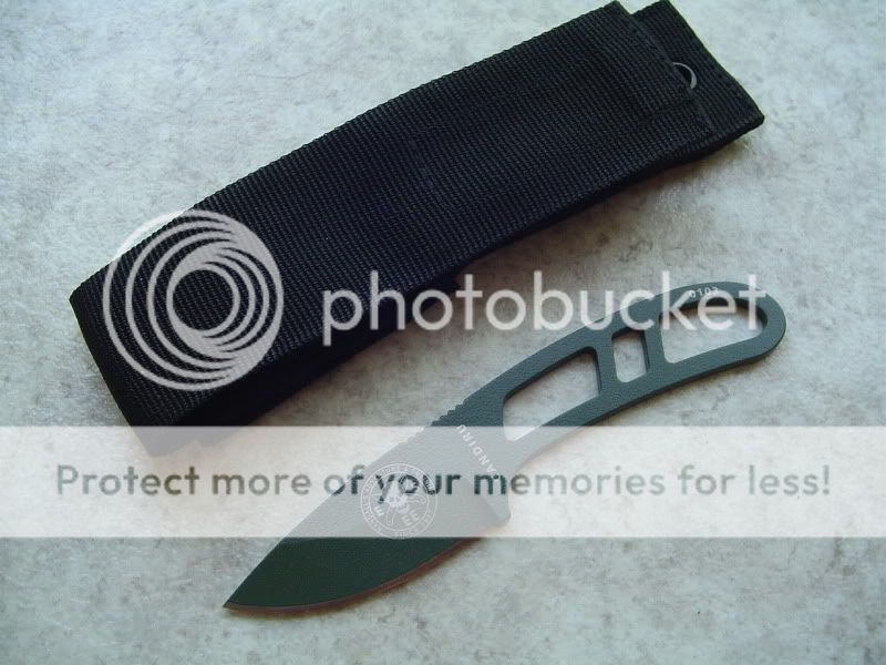 candiru001.jpg