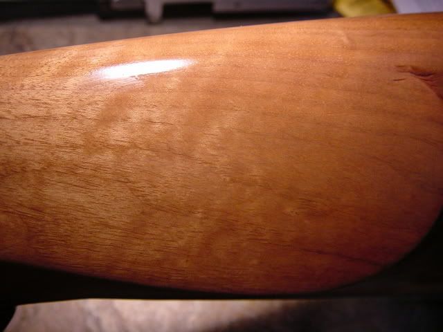 DSC05225.jpg