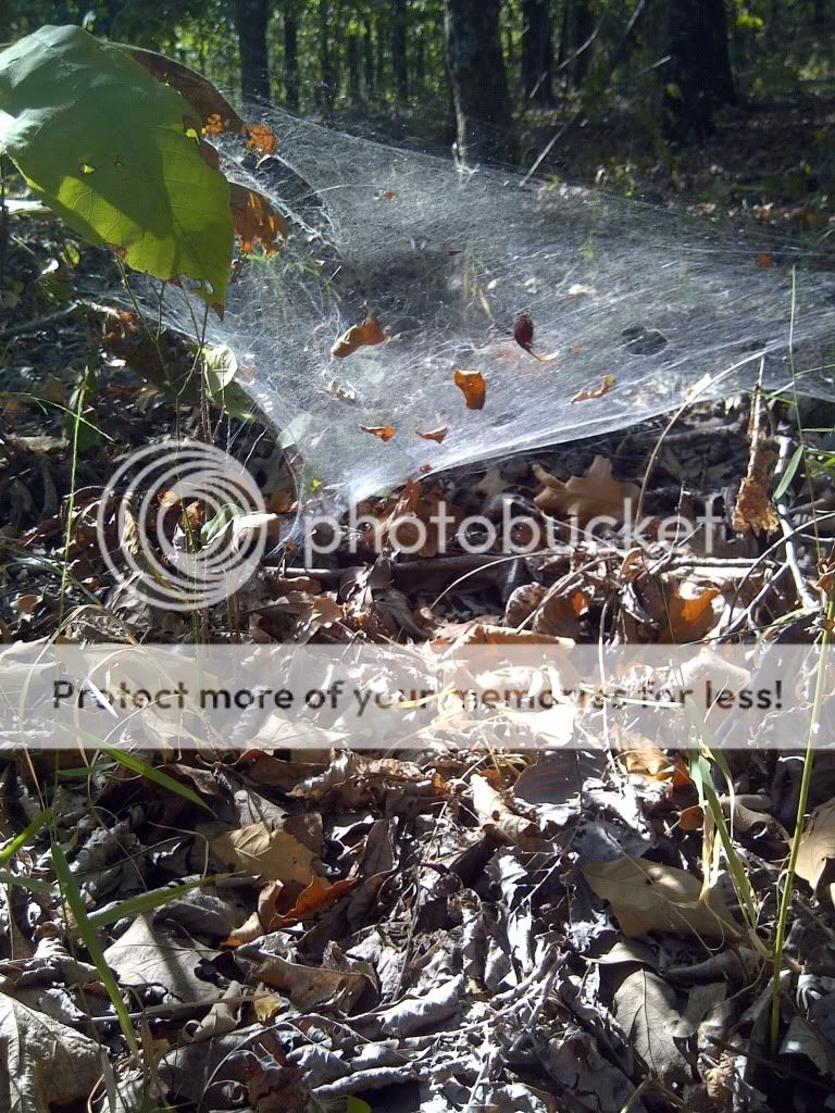 Vian-20110909-00176.jpg